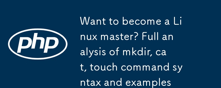 想成为 Linux 高手？mkdir、cat、touch 命令语法及示例全解析