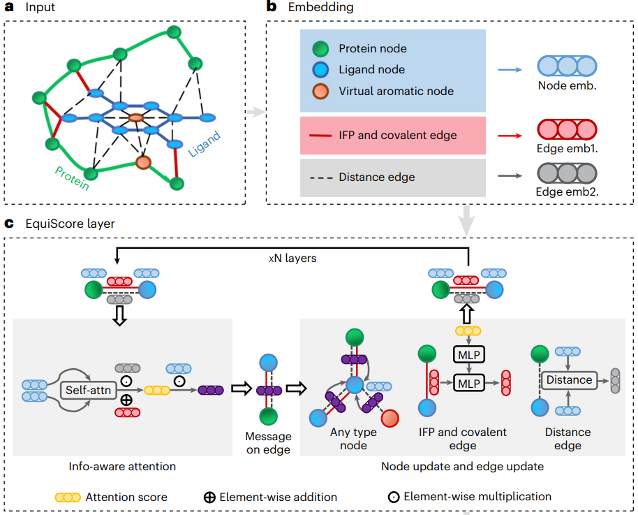 AI+physics prior knowledge, Zhejiang University and Chinese Academy of Sciences general protein-ligand interaction scoring method published in Nature sub-journal