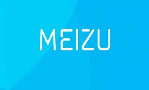 Where to set up automatic updates in Meizu App Store?