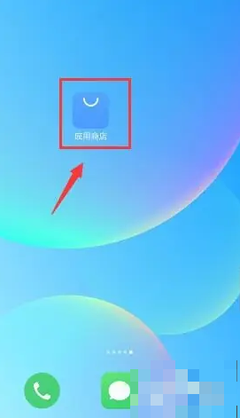 Where to set up automatic updates in Meizu App Store?