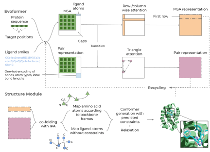 The success rate exceeds that of the RoseTTAFold series, using sequence information to directly predict protein-ligand complex structures.