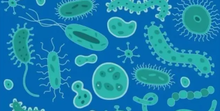 Resurrection of ancient biological molecules, AI solves antibiotic resistance, two papers published by Fudan University and Penn University collaborative teams were published in Cell and Nature sub-journals