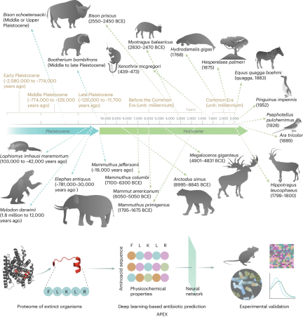 Resurrection of ancient biological molecules, AI solves antibiotic resistance, two papers published by Fudan University and Penn University collaborative teams were published in Cell and Nature sub-journals
