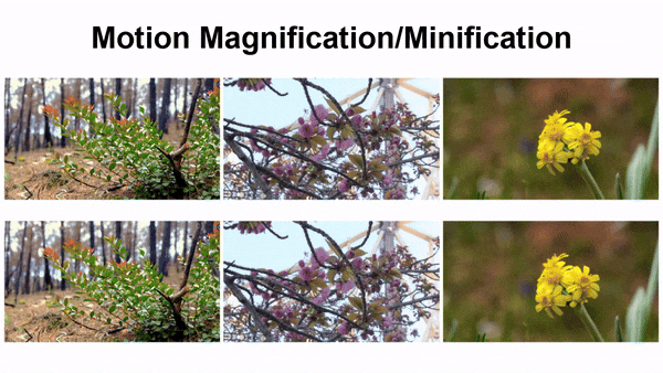 CVPR 2024全部奖项公布！近万人线下参会，谷歌华人研究员获最佳论文奖