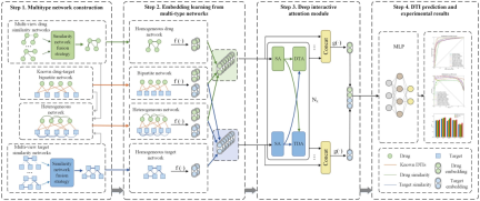 Efficient and accurate, Zhengzhou University team develops new AI tool to identify drug-target interactions