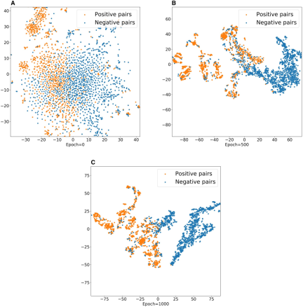 Efficient and accurate, Zhengzhou University team develops new AI tool to identify drug-target interactions