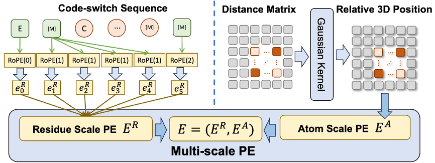 Tsinghua AIR and others proposed ESM-AA, the first protein language model from amino acids to atomic scales