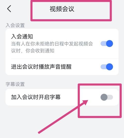 飞书怎么开启视频会议字幕 飞书开启视频会议字幕方法一览