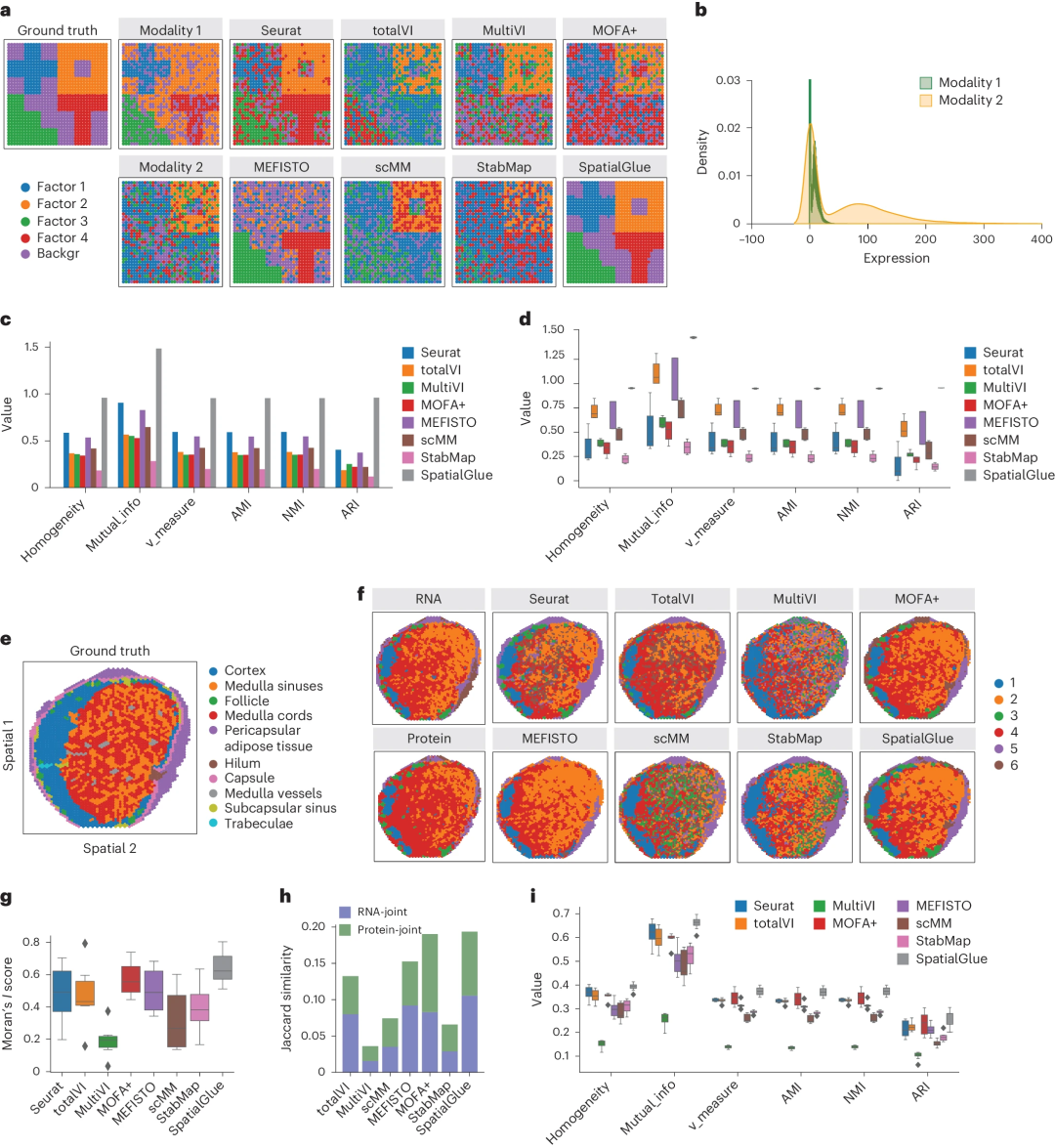 Integrating multi-omics data, BGI team’s graph neural network model SpatialGlue was published in Nature sub-journal
