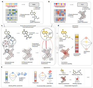 Nature sub-journal, with an accuracy rate of 96%, AI predicts protein-ligand interactions from sequences