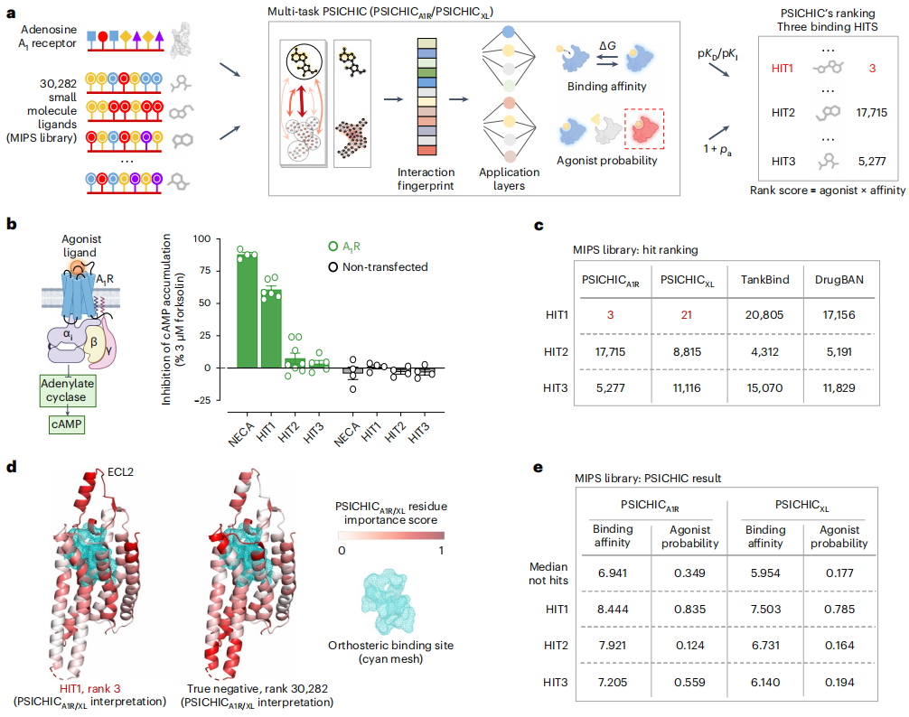 Nature子刊,准确率达96%,AI从序列中预测蛋白-配体互作