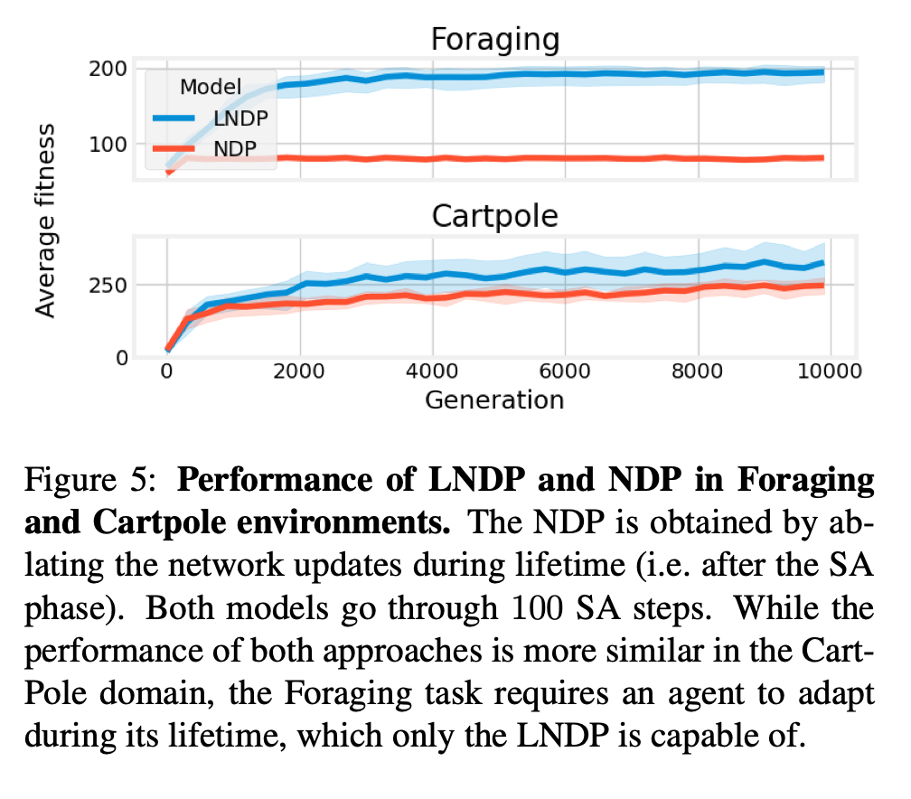 The self-organizing neural network that grows like a biological network and has structural plasticity is here