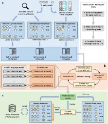 Da Hongliangs research group at Shanghai Jiao Tong University & Shanghai AI Laboratory team released FSFP, a small sample prediction method for protein function based on language model, which was published in the Nature sub-journal