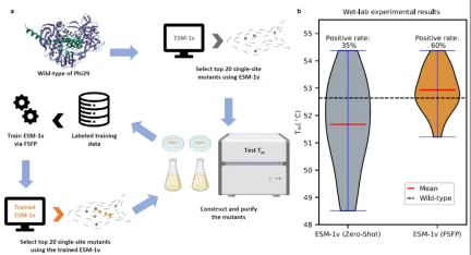 Da Hongliangs research group at Shanghai Jiao Tong University & Shanghai AI Laboratory team released FSFP, a small sample prediction method for protein function based on language model, which was published in the Nature sub-journal