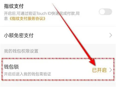 爱奇艺怎么设置钱包锁 爱奇艺设置钱包锁方法介绍