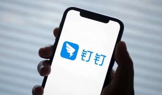 钉钉怎么重置安全密码 钉钉重置安全密码方法一览