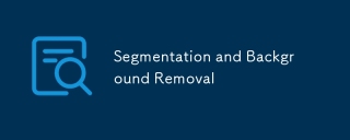 Segmentation and Background Removal