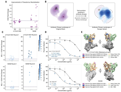 Login to Science, drug affinity increased 37 times, AI performs unsupervised optimization of protein and antibody complexes