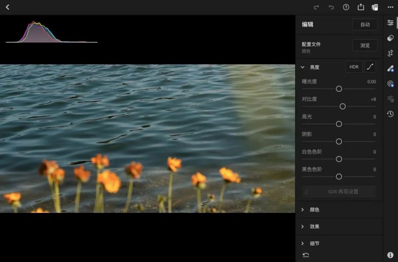写真を学ぶためにヒストグラムを知る必要があるのはなぜですか?