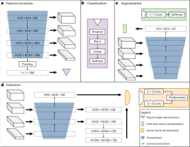 New standard for AI imaging, only 1% of original data can achieve the best performance, general medical basic model published in Nature sub-journal