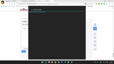 How to solve the problem that the search bar cannot be used in win11 system? Solution to win11 search function not working