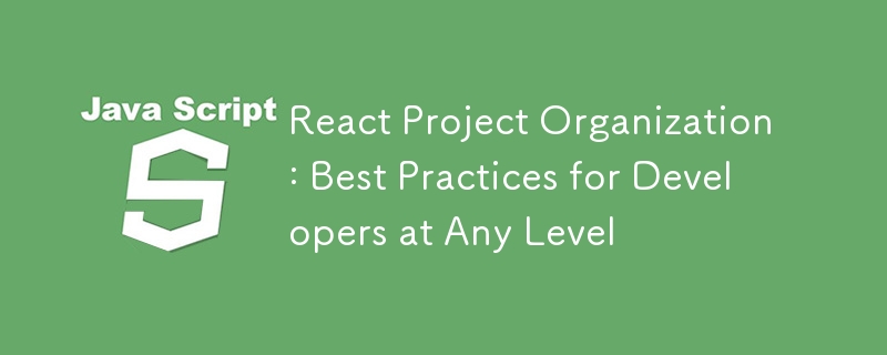 React Project Organization: Best Practices for Developers at Any Level