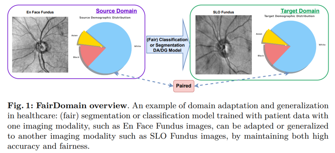 ECCV2024 | 哈佛团队开发FairDomain,实现跨域医学图像分割和分类中的公平性