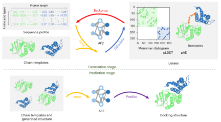 Nature子刊,北大团队通用AI框架对蛋白-蛋白对接进行综合结构预测,弥合实验与计算的差距