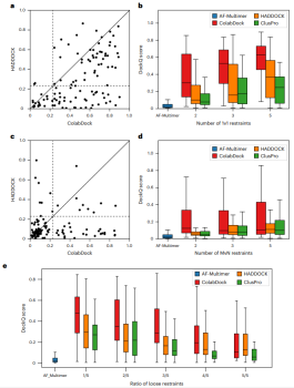Nature子刊,北大团队通用AI框架对蛋白-蛋白对接进行综合结构预测,弥合实验与计算的差距