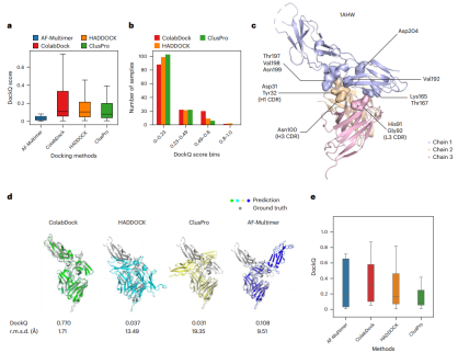 Nature子刊,北大团队通用AI框架对蛋白-蛋白对接进行综合结构预测,弥合实验与计算的差距