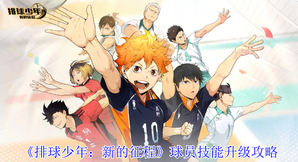 Volleyball Boys: New Journey player skill upgrade guide