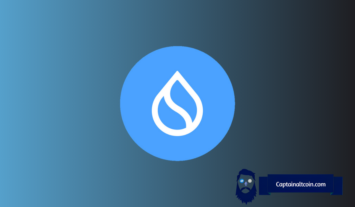 SUI Price Among Top Crypto Gainers –  Target Next?
