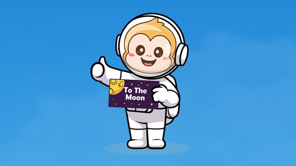 MoonBag is the crypto you should be investing in!