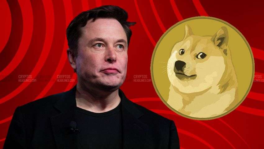 The Growing Influence of Meme Coins in the Cryptocurrency Market