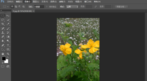 photoshop cs6怎么翻转照片素材 photoshop cs6翻转照片素材的方法