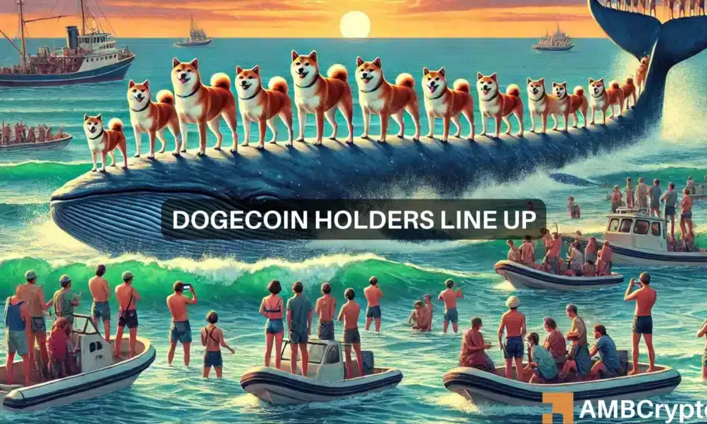 Dogecoin은 여전히 ​​일반 투자자에게 가장 수익성이 높은 Memecoin입니다: IntoTheBlock