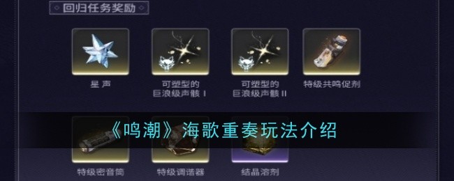 Introduction to the gameplay of Wuthering Waves Haige Ensemble
