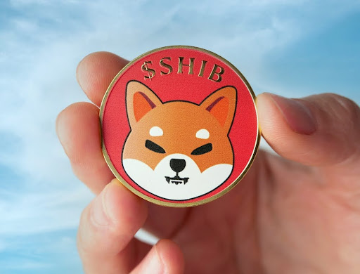 ShibHub: Enthüllung des Herzschlags des Shiba Inu-Ökosystems