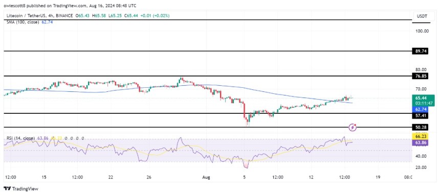 ライトコイン（LTC）は強気反転が起こり力強いカムバックを果たし、76.85ドルの目標に向けての可能性のある動きの準備を整える
