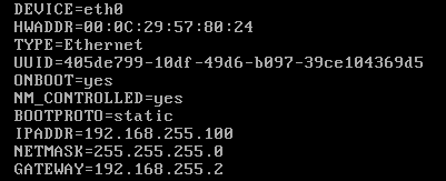 Network card allocation problem under vmware