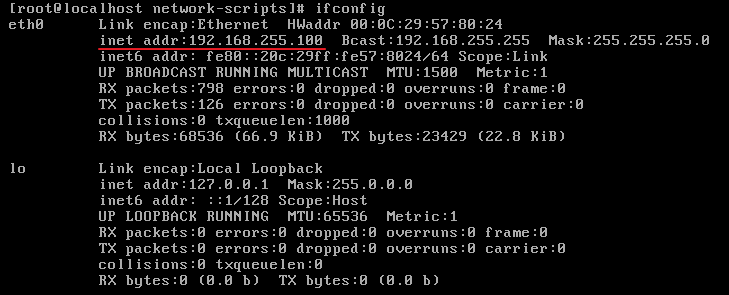 Network card allocation problem under vmware
