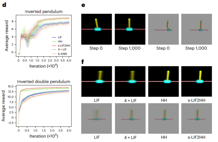 Nature子刊 | 基于内生复杂性,自动化所新类脑网络构筑人工智能与神经科科学的桥梁