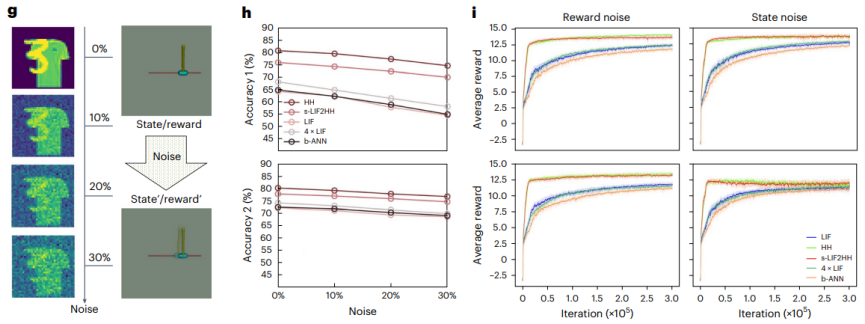 Nature子刊 | 基于内生复杂性,自动化所新类脑网络构筑人工智能与神经科科学的桥梁