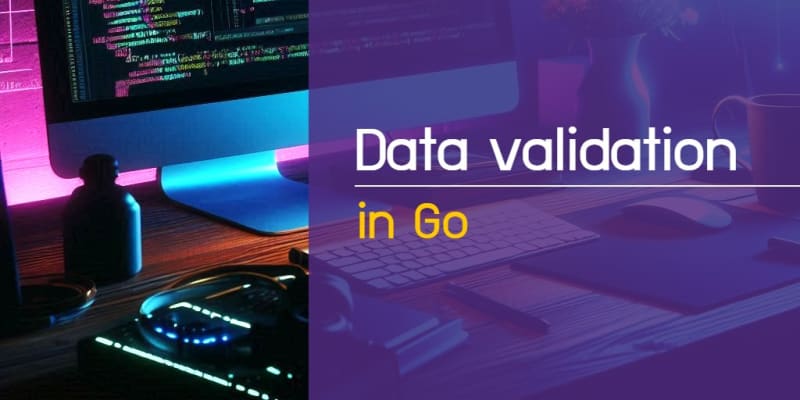 Implement data validation in Go