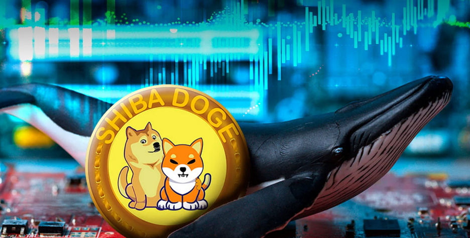 RCO Finance (RCOF): 仮想通貨界で注目を集める新しいイーサリアムトークン