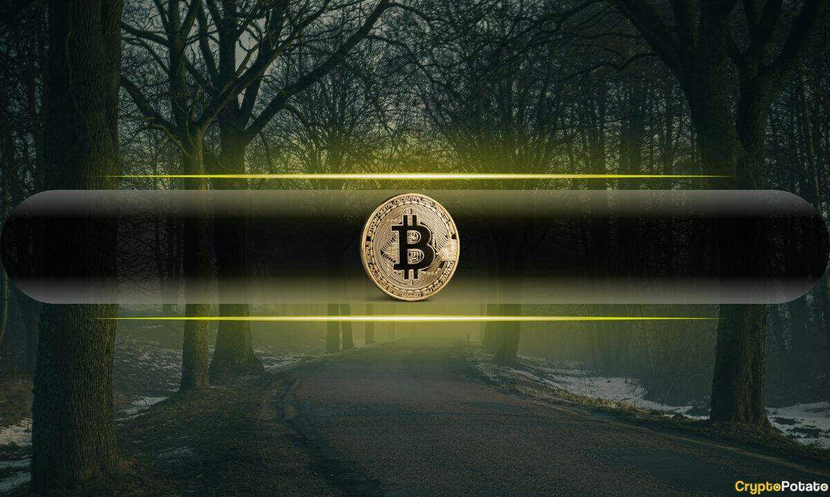 Bitcoin (BTC) Price Loses Key Support Levels as On-Chain Analysts Sound the Alarm