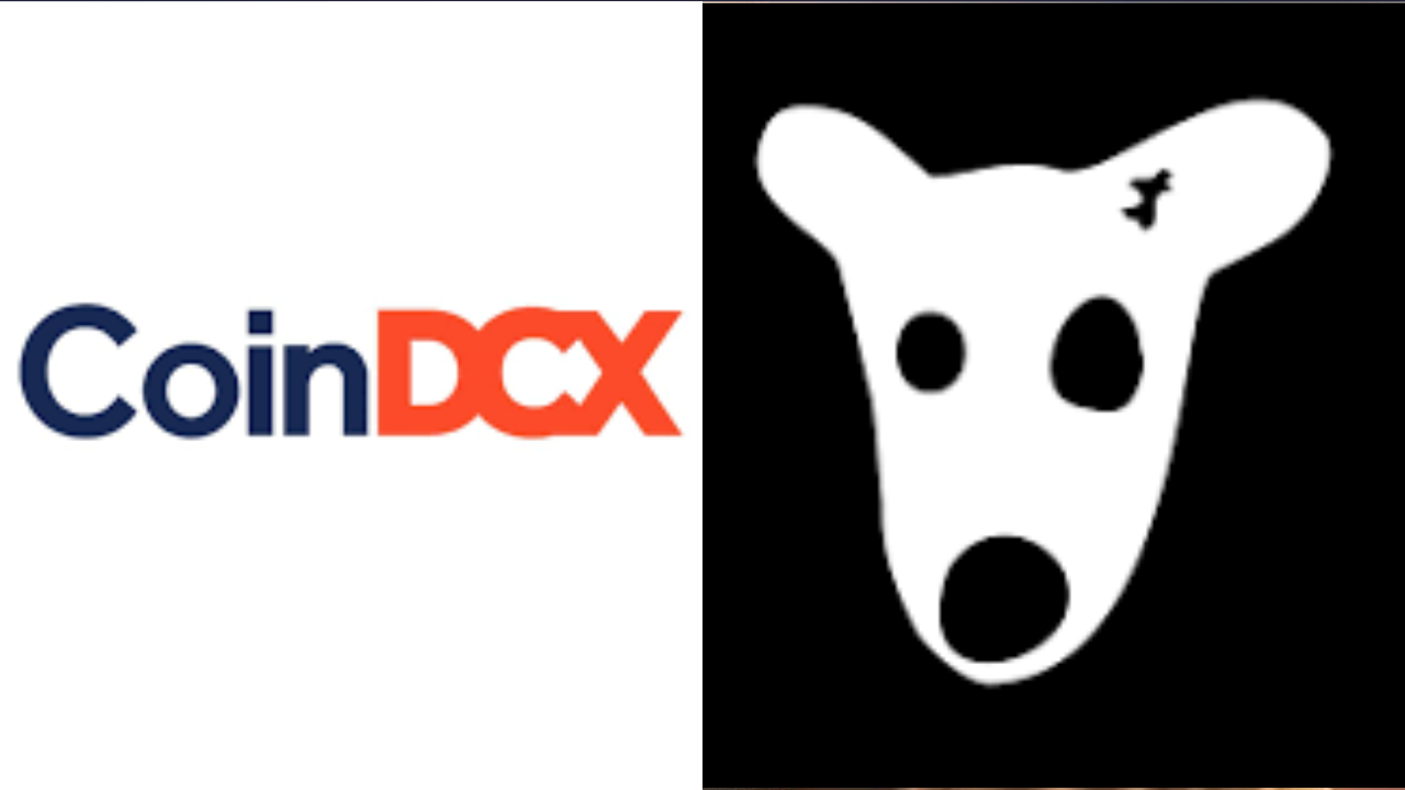 CoinDCX 将上线 $DOGS 代币，成为印度首家上市的加密货币交易所