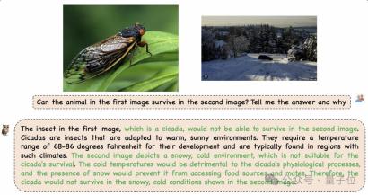 4 秒看完 2 小时电影!阿里发布通用多模态大模型 mPLUG-Owl3