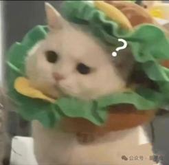 4 秒看完 2 小时电影!阿里发布通用多模态大模型 mPLUG-Owl3