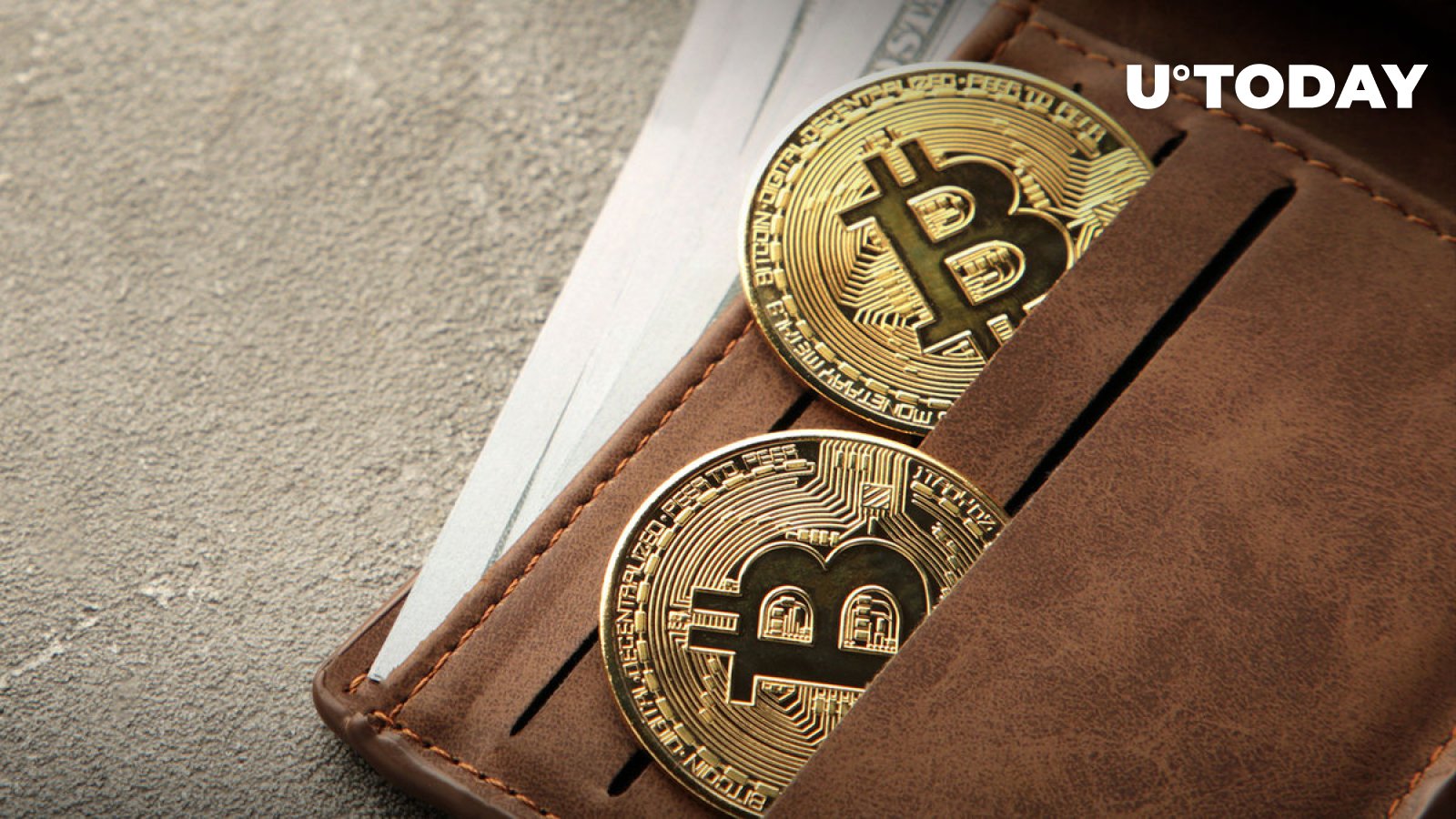 Dormant Bitcoin Wallet Returns to Life, Boasting an Impressive 8,844% Gain